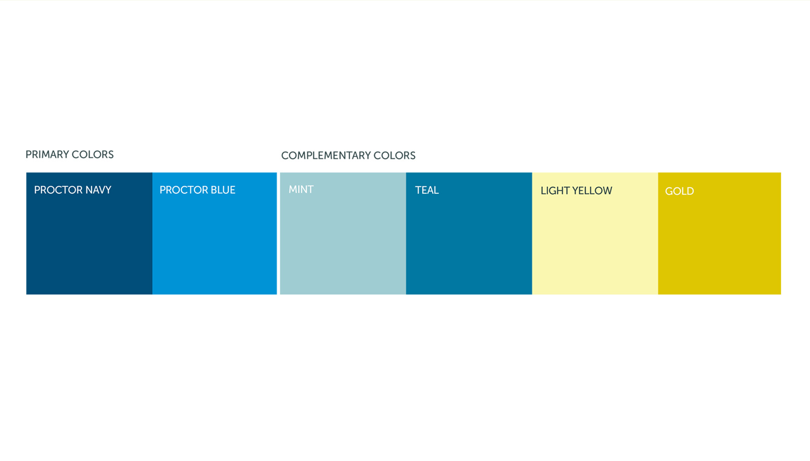 Proctor Loan Protector color palette